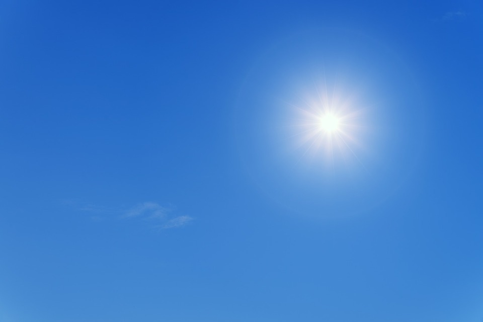 canicule