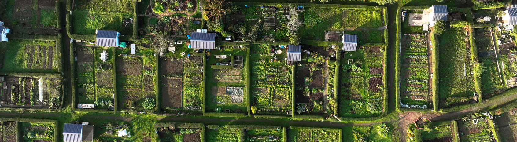jardin familiaux 