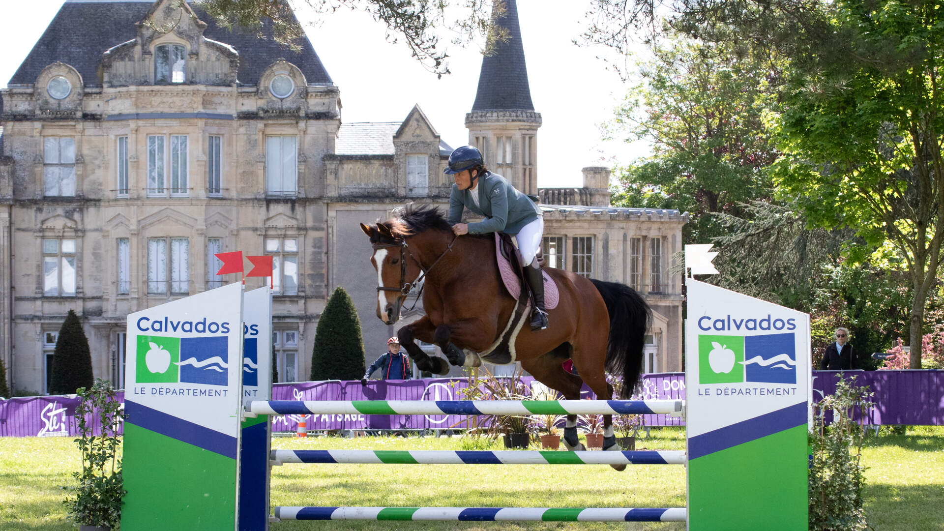 cheval et cavaliers saut d'obstacle 