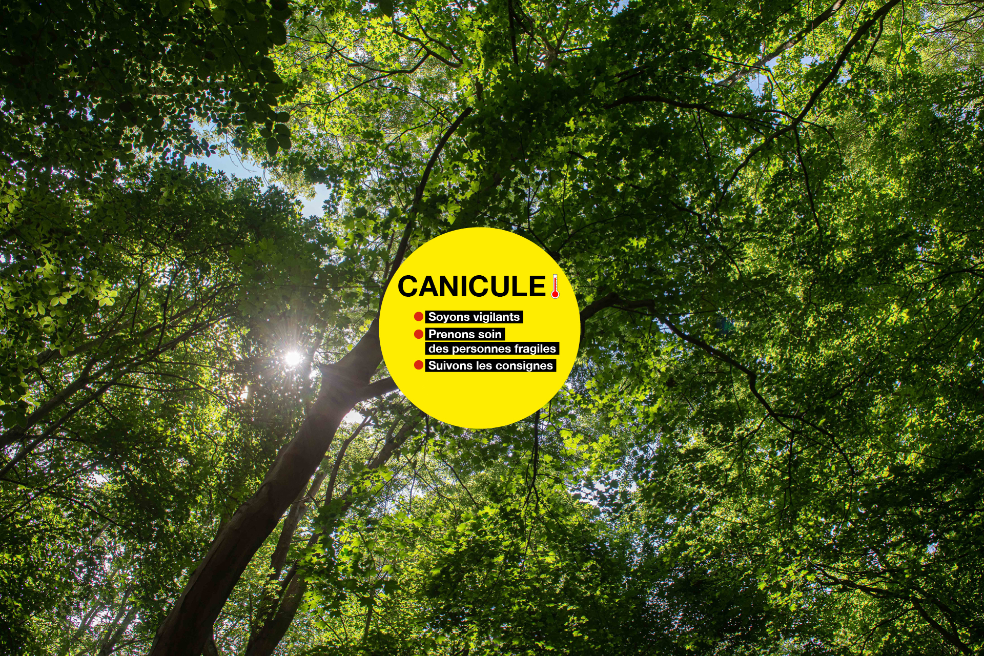 canicule