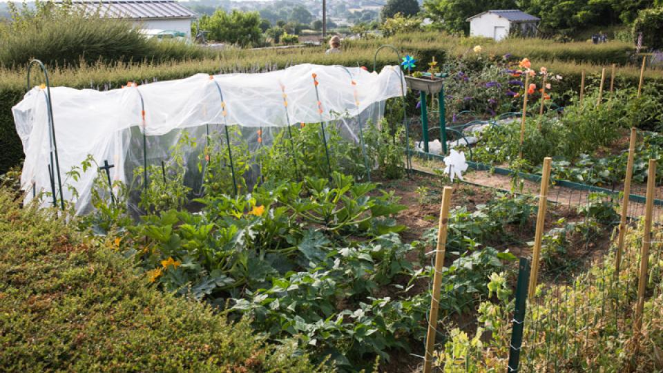 jardin-compost-particuliers-herouville