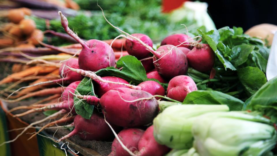 Utiliser du compost contribue à enrichir la terre et à fertiliser les plantations. Produire soi-même du compost permet également de réduire les quantités d’ordures ménagères et de déchets de jardin à traiter.  Le compost permet d’ameublir la terre. Il facilite la germination et l’enracinement des jeunes plants. Il stimule la croissance des végétaux et des racines. Les végétaux plantés dans un milieu de croissance contenant du compost sont plus forts et ont un meilleur rendement. Il limite l’apparition et le