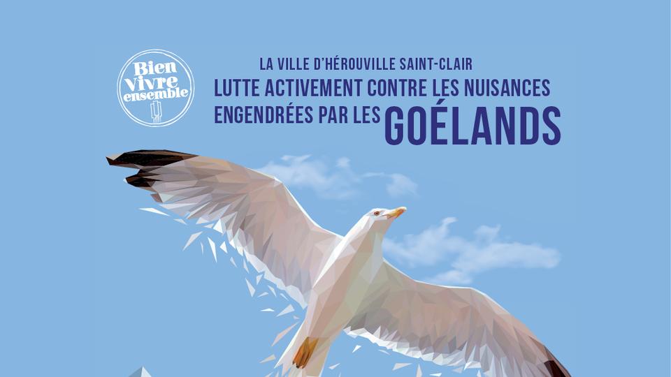 goeland-flyer-herouville