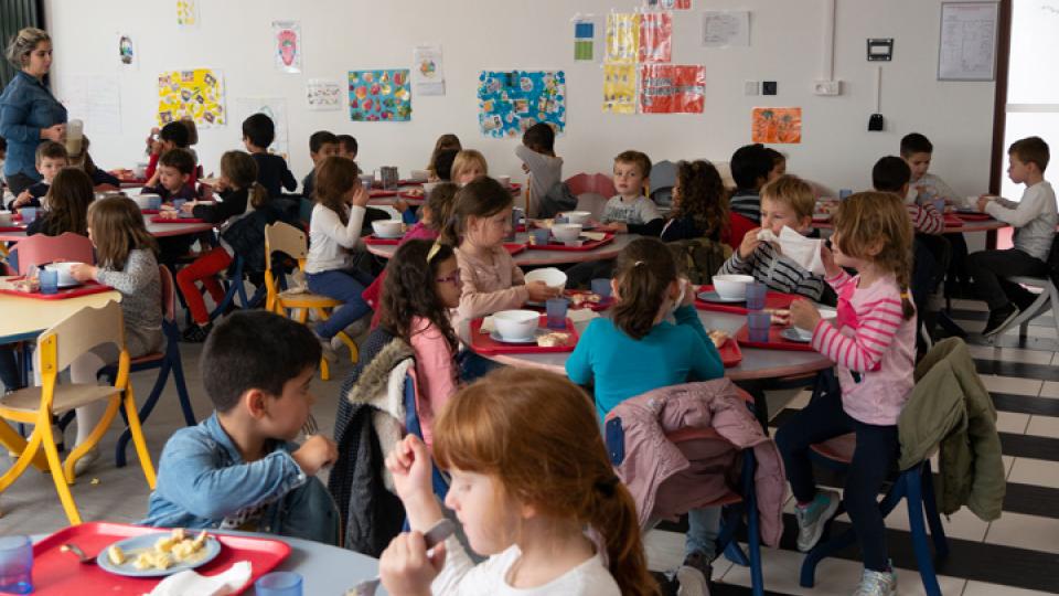 semaine-du-gout-cantine-herouville-enfant