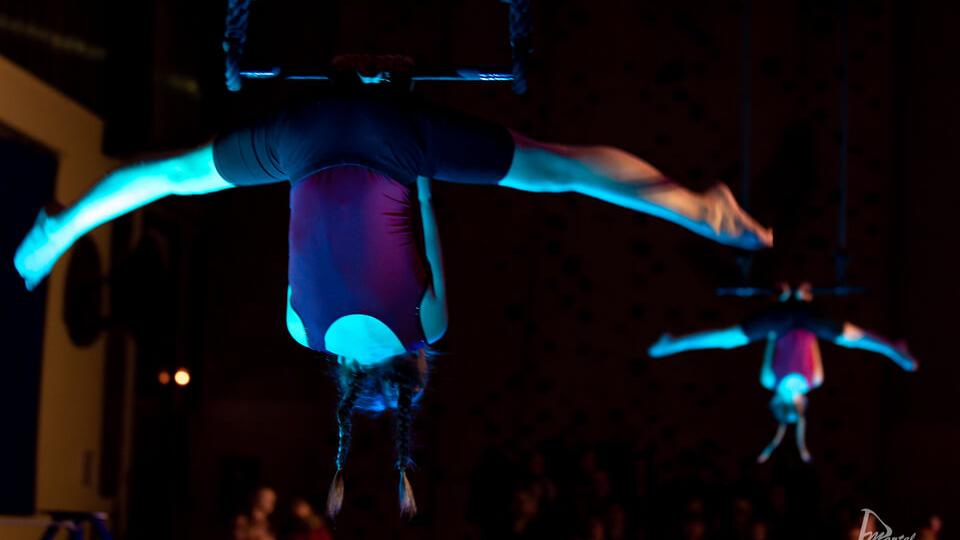 artistochats-association-cirque-equilibre