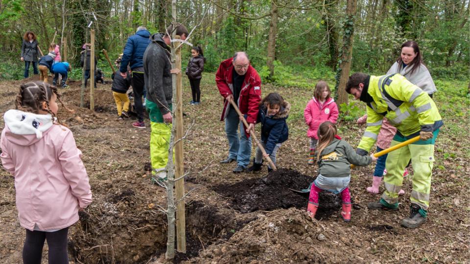 plantation-arbres-ecole-lebisey