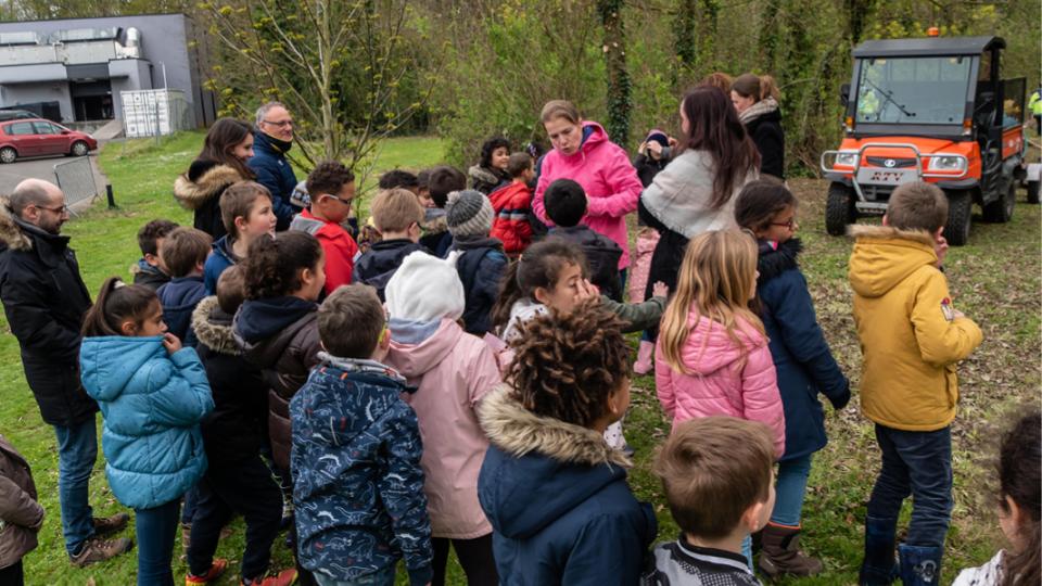 plantation-arbres-ecole