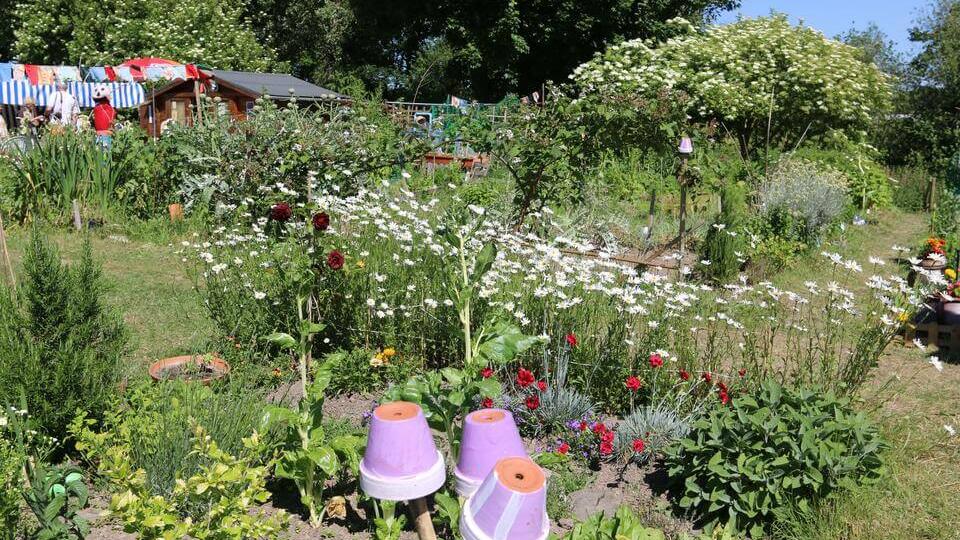jardin ecocitoyen herouville