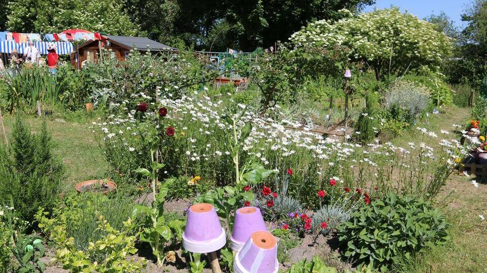 jardin ecocitoyen herouville