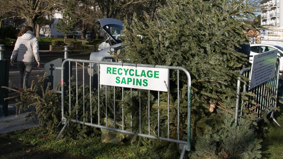 recyclage-sapins-herouville