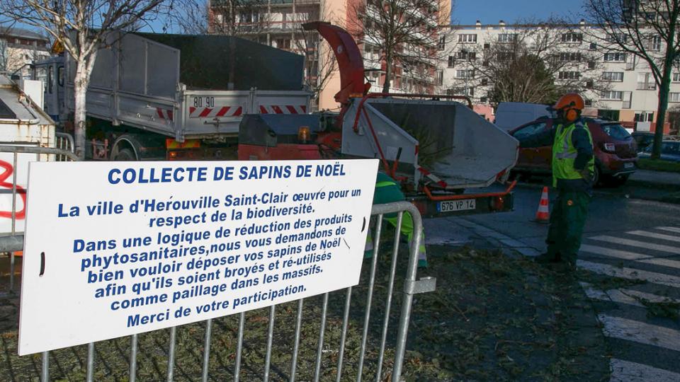 collecte-sapins-herouville