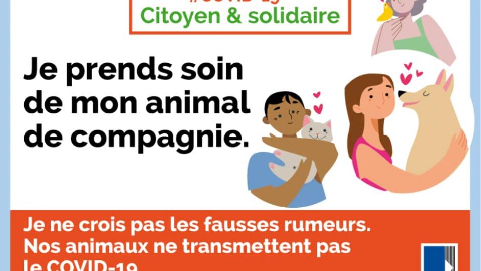 animaux de compagnie spa