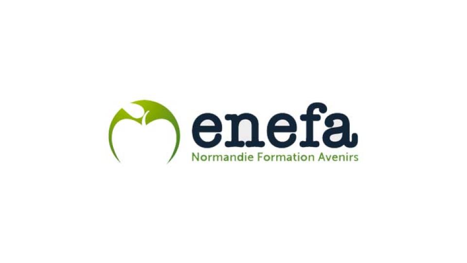 logo enefa