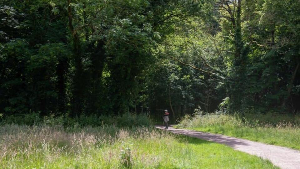 bois de lébisey 