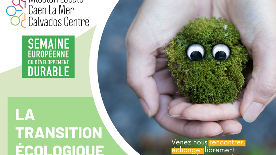 transition ecologique visuel 