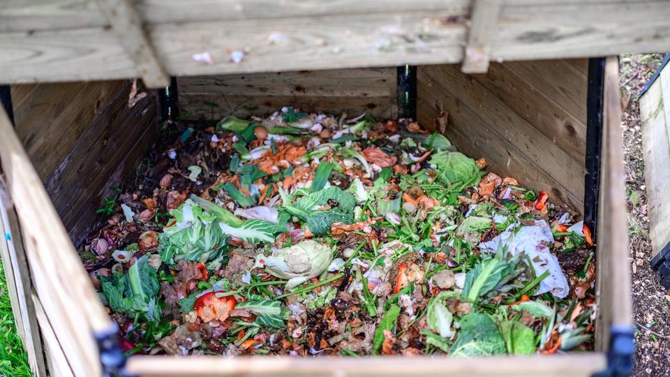 compost