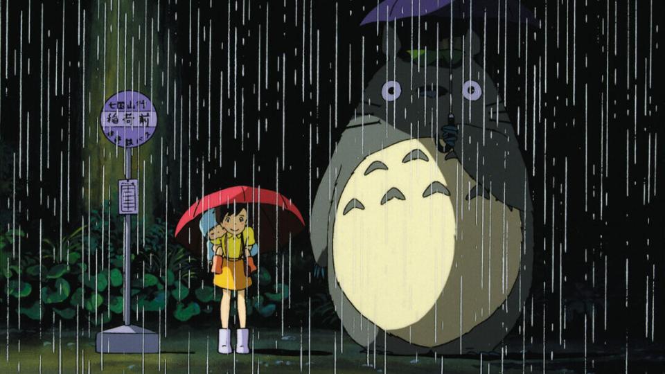 totoro film visuel