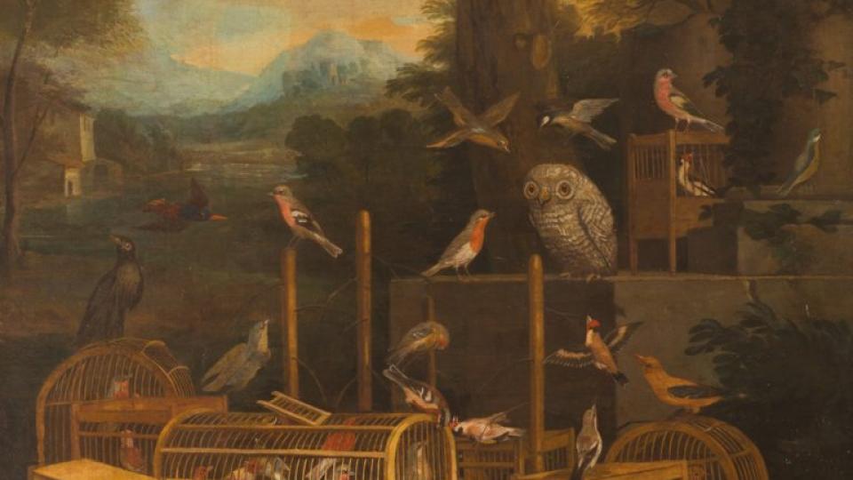 le chant des oiseaux
