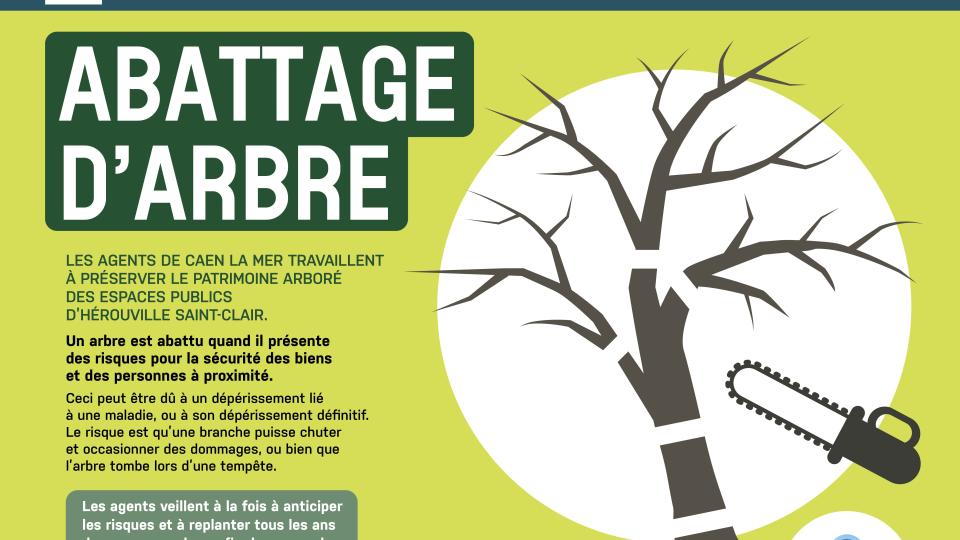 abbatage arbre 