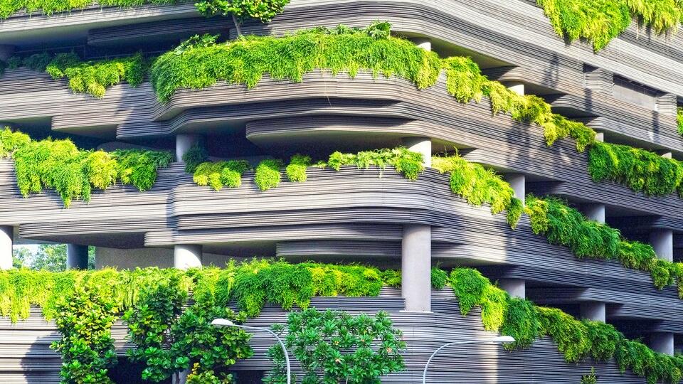 immeuble et verdure