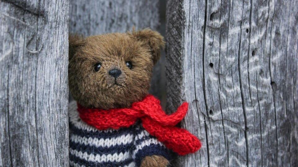 ours peluche