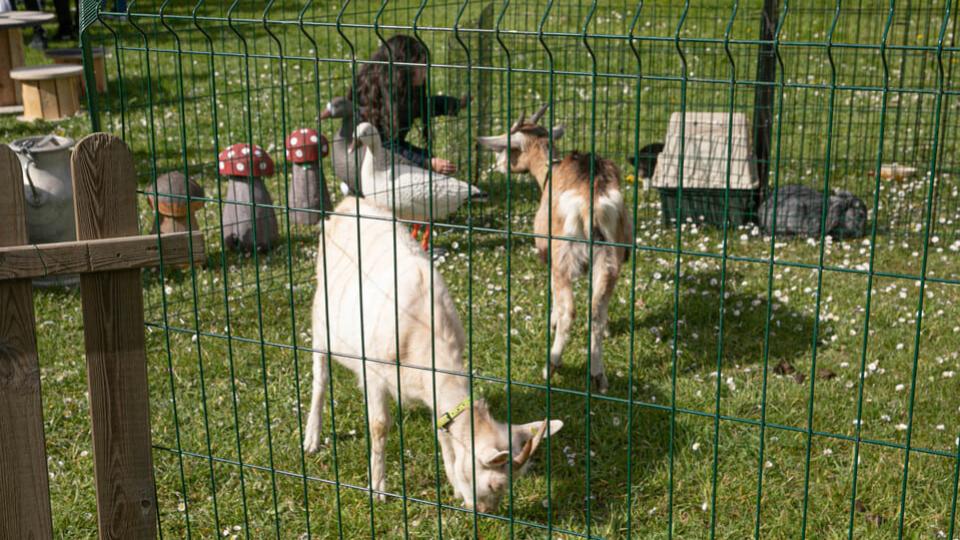 ferme 