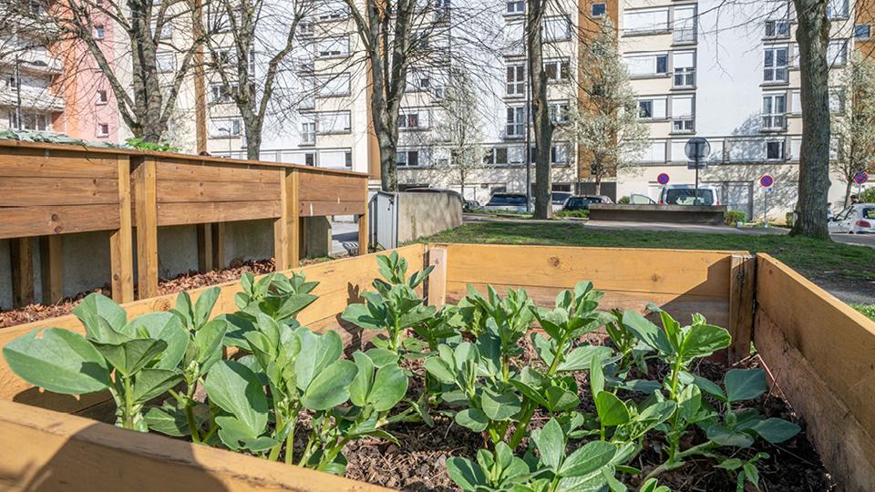 jardin collectif hérouville