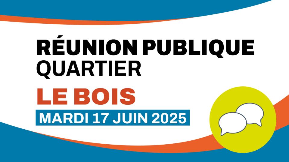 réunion le bois visuel