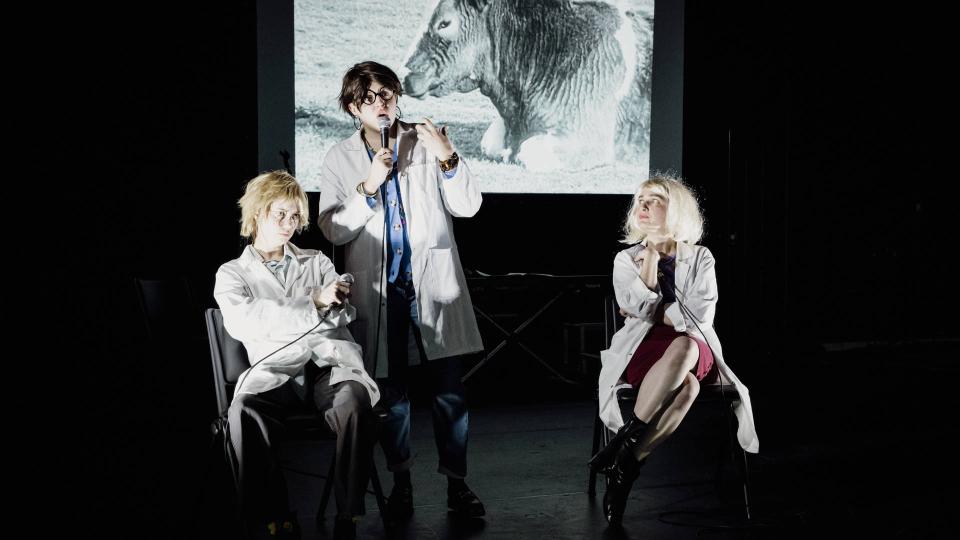 spectacle visuel 