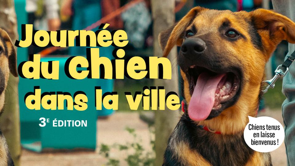 Journée du chien dans la ville visuel