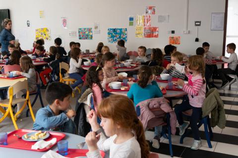 semaine-du-gout-cantine-herouville-enfant