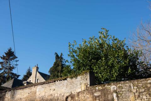 herouville-renovation-rue-abbé-alix