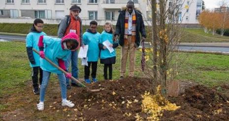 pantation d'arbres chateau d'eau pour la cide