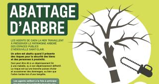 abbatage arbre 