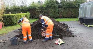 distribution compost