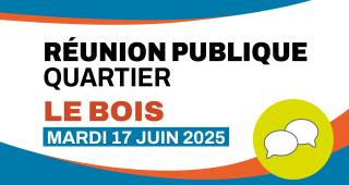 réunion le bois visuel