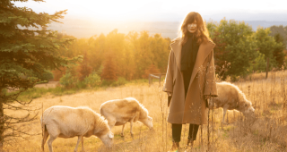 photo Shannon wright