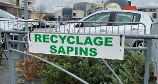 recyclage sapins naturels