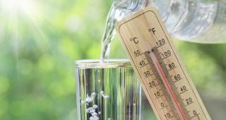 canicule adobe stock