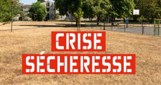 Alerte crise sécheresse