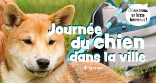 Journée du chien dans la ville 2026